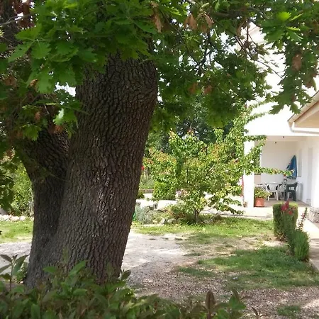 La Maison זאדאר