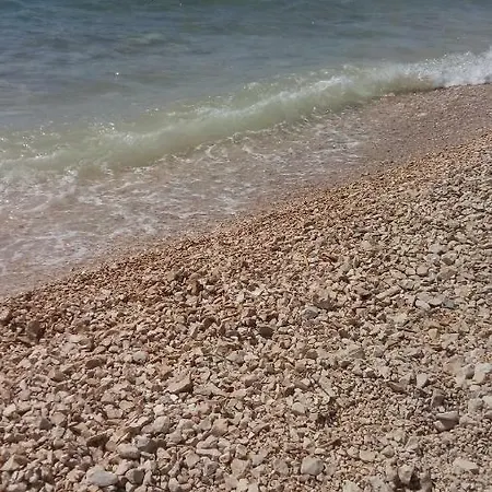 La Maison * זאדאר