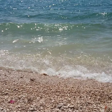 La Maison זאדאר