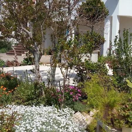 La Maison דירה זאדאר