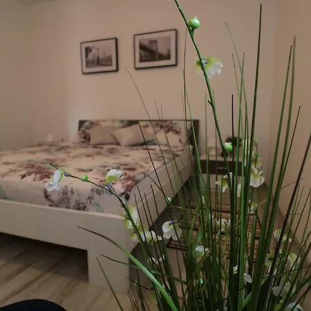 La Maison דירה זאדאר