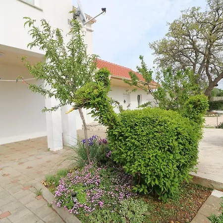 La Maison זאדאר